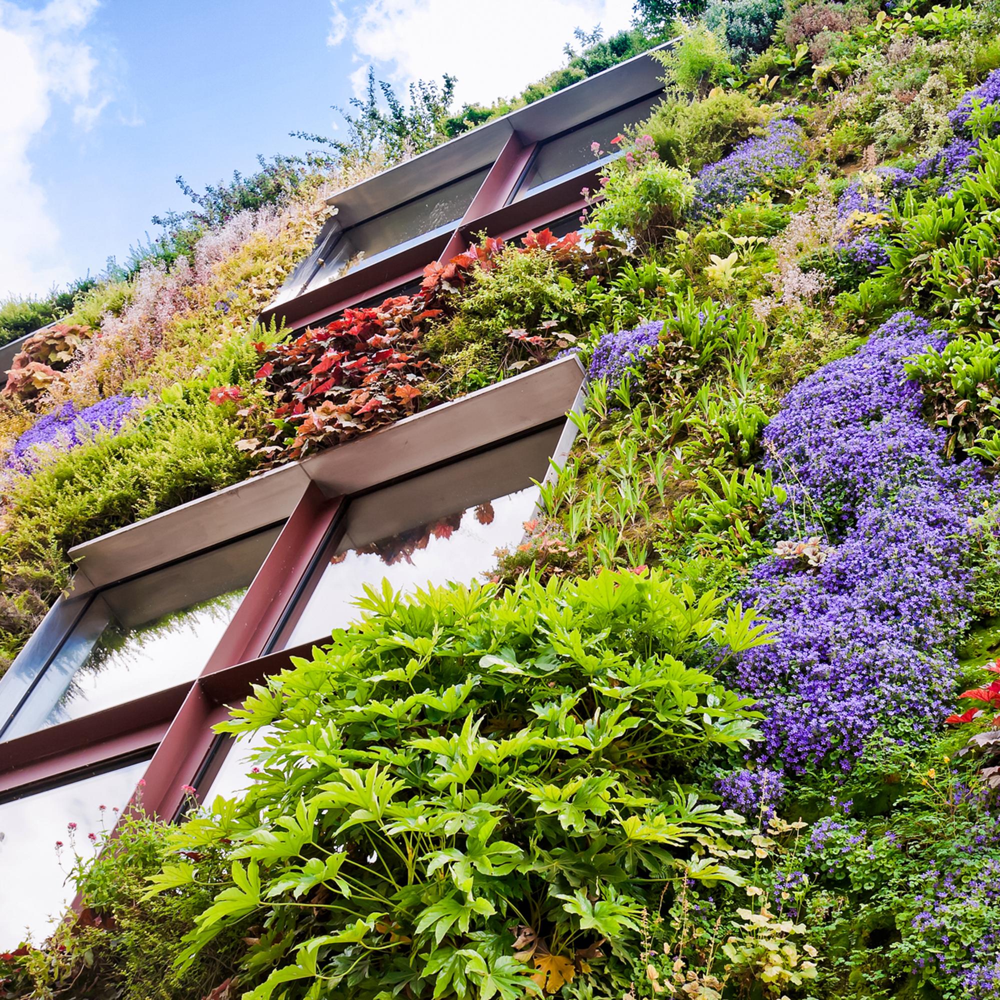 Ekologiska byggnaders fasad.