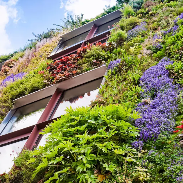 Ekologiska byggnaders fasad.