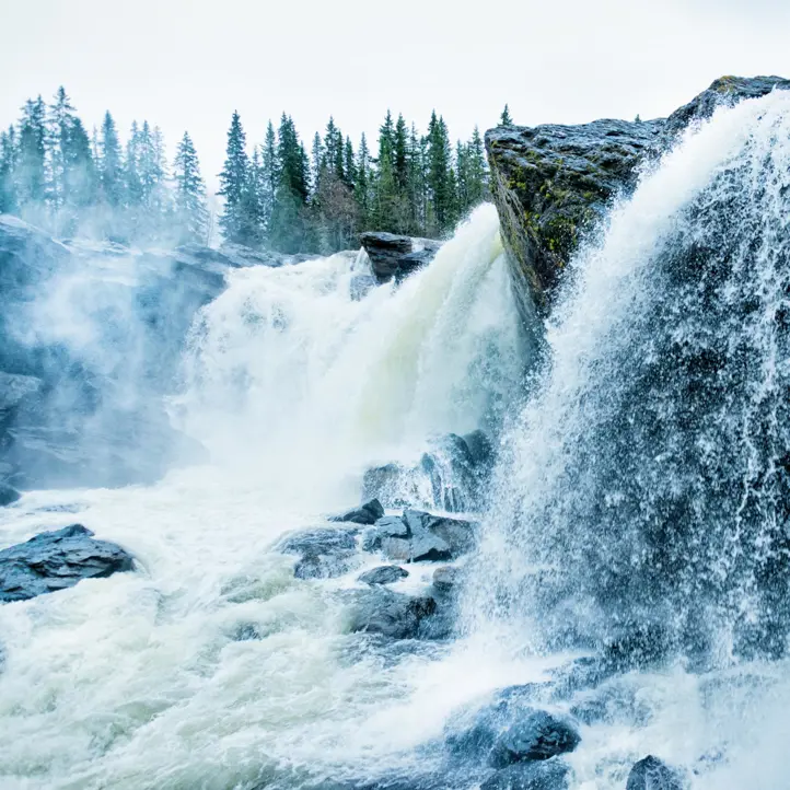 Ett vattenfall i skogen.