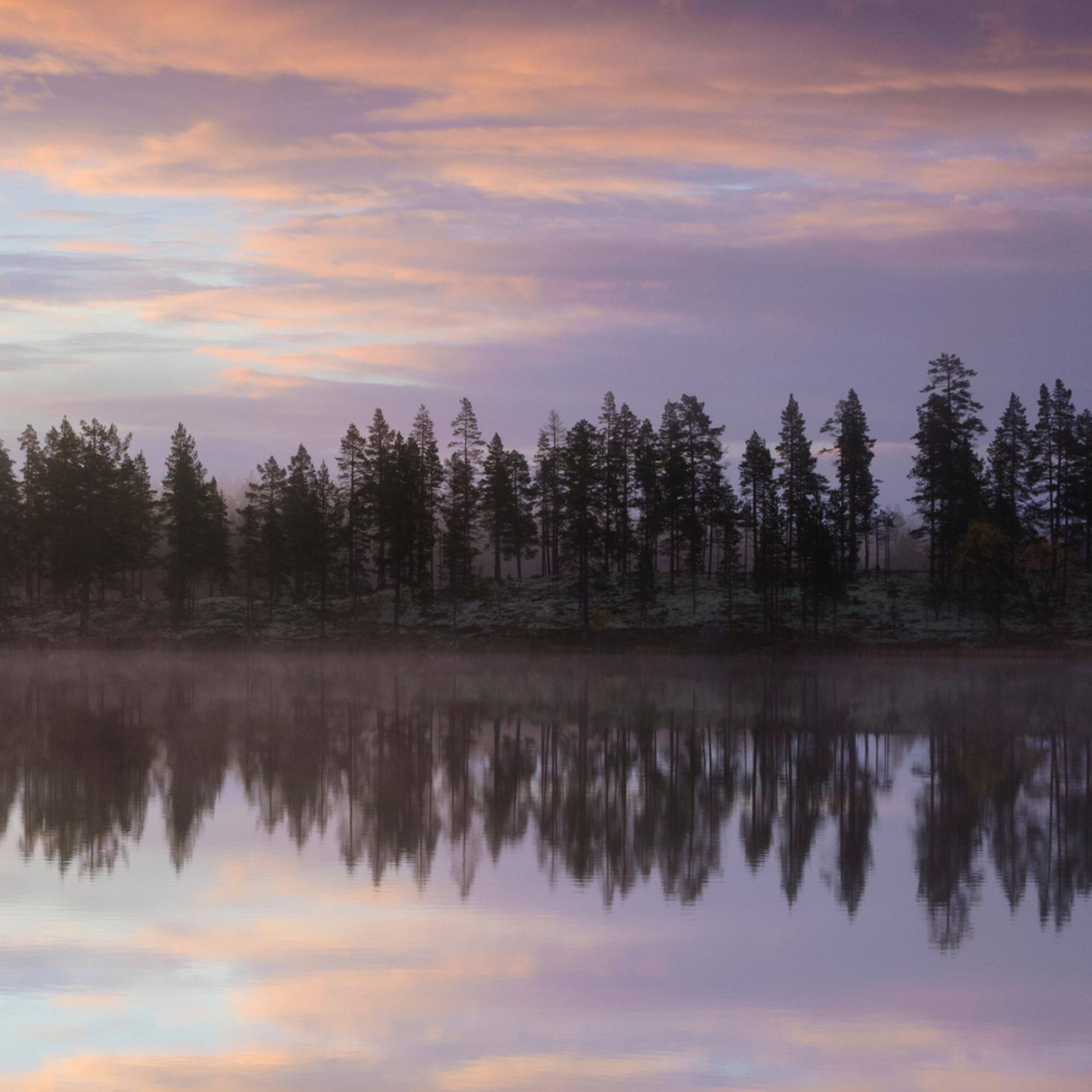 Vatten vid skymningen.