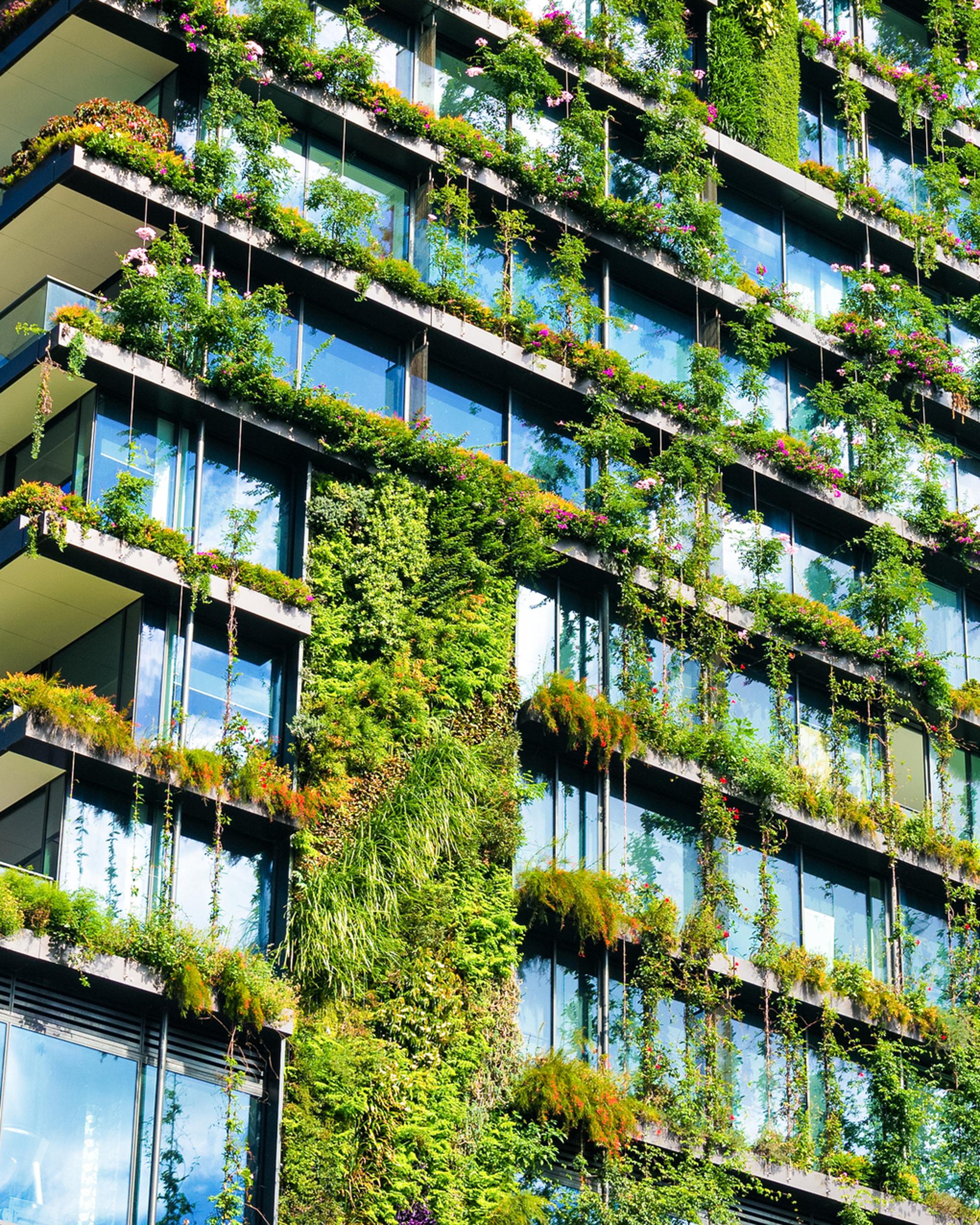 Hus med gröna växter på fasaden