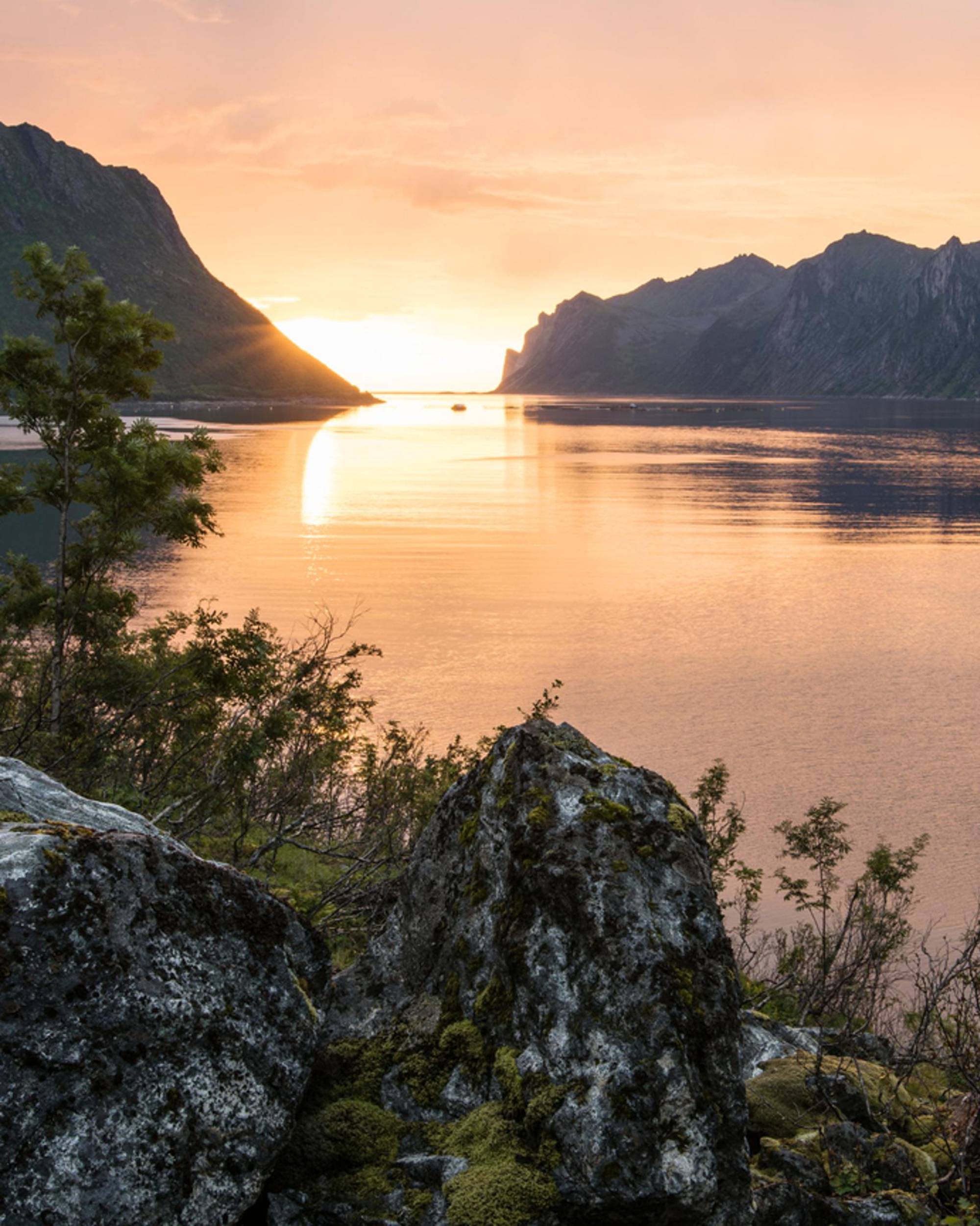 Solnedgång över fjordlandskap med klippor och lugnt vatten, omgiven av grönska, Norge