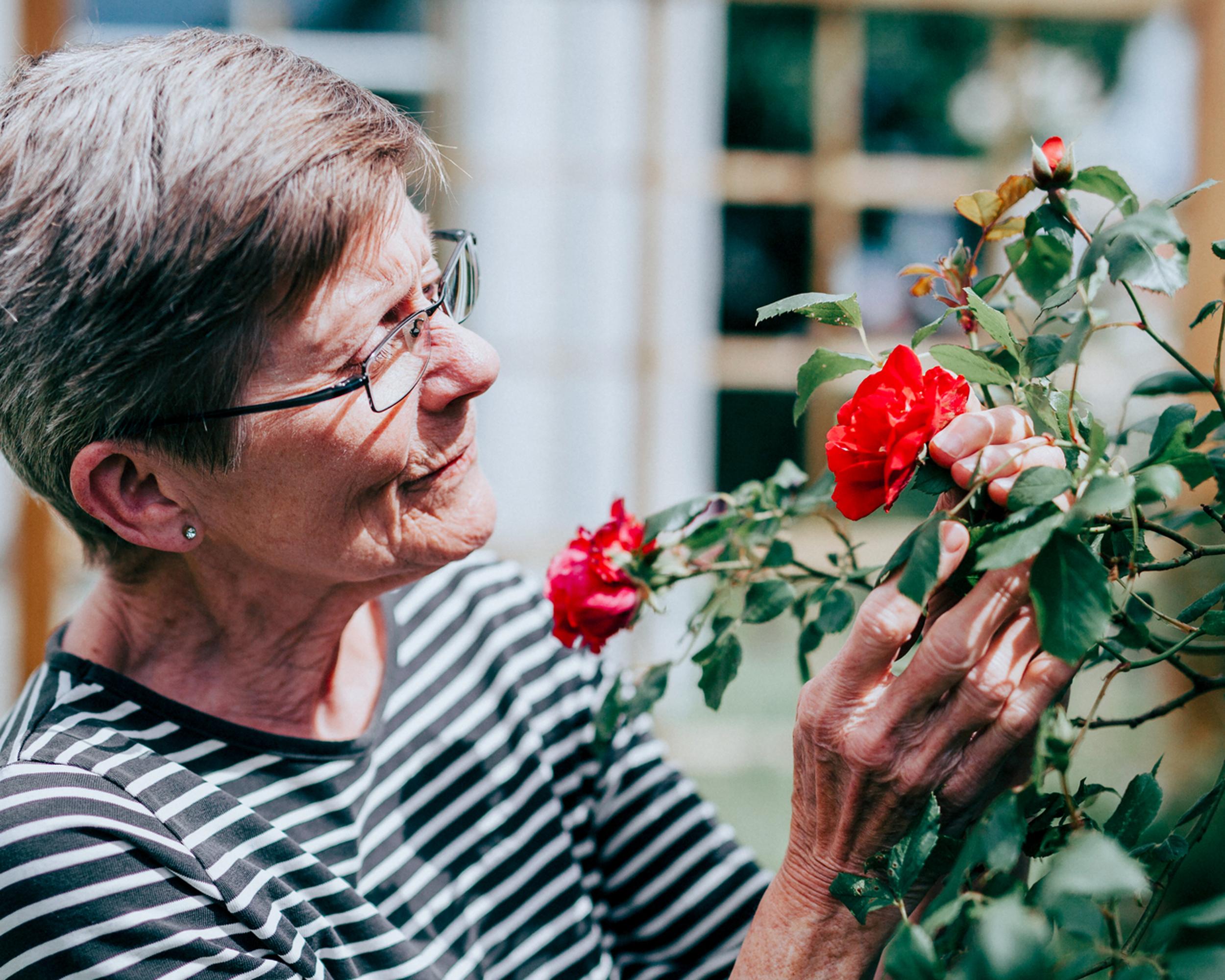 Pensionär luktar på blomma