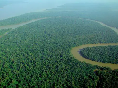 Luftbild av slingrande flod som flyter genom Amazonas regnskog