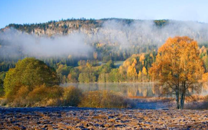 Höstlandskap med dimma över skogsklädda berg i Sverige, omgiven av färgglada träd och en frusen äng i förgrunden