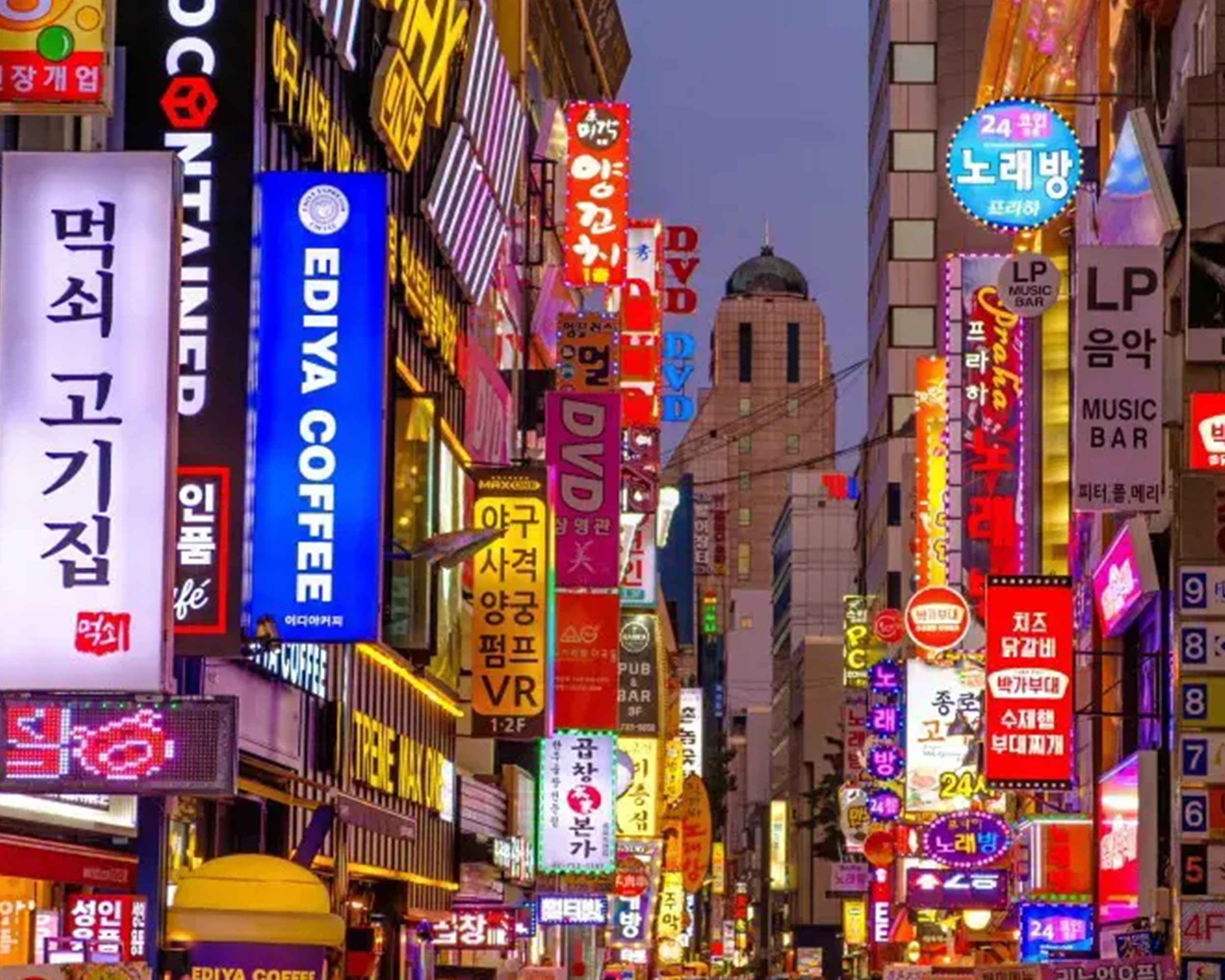 Foto gata i Korea.