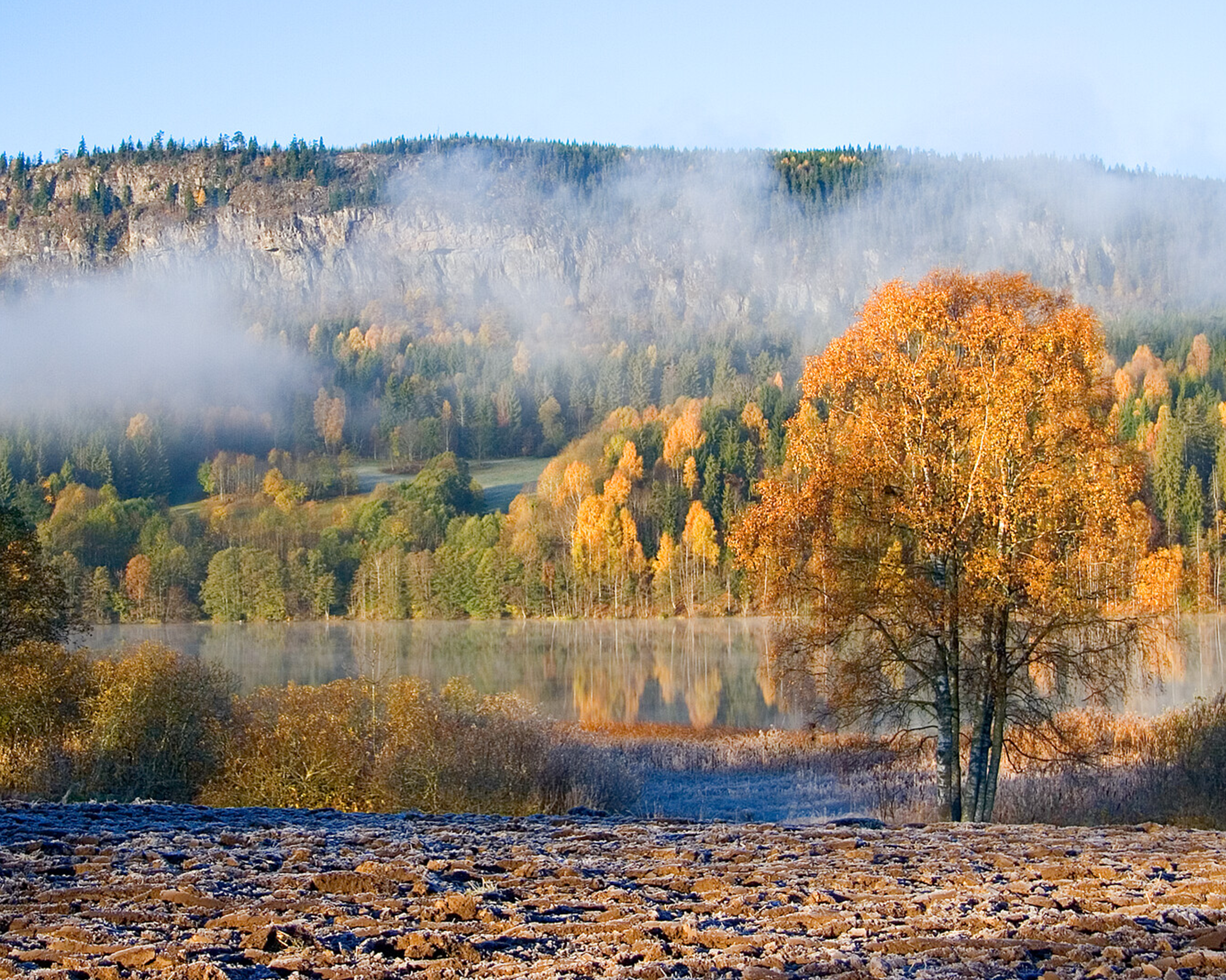 Naturbild med träd, berg och vatten i höstfärger och dimma.
