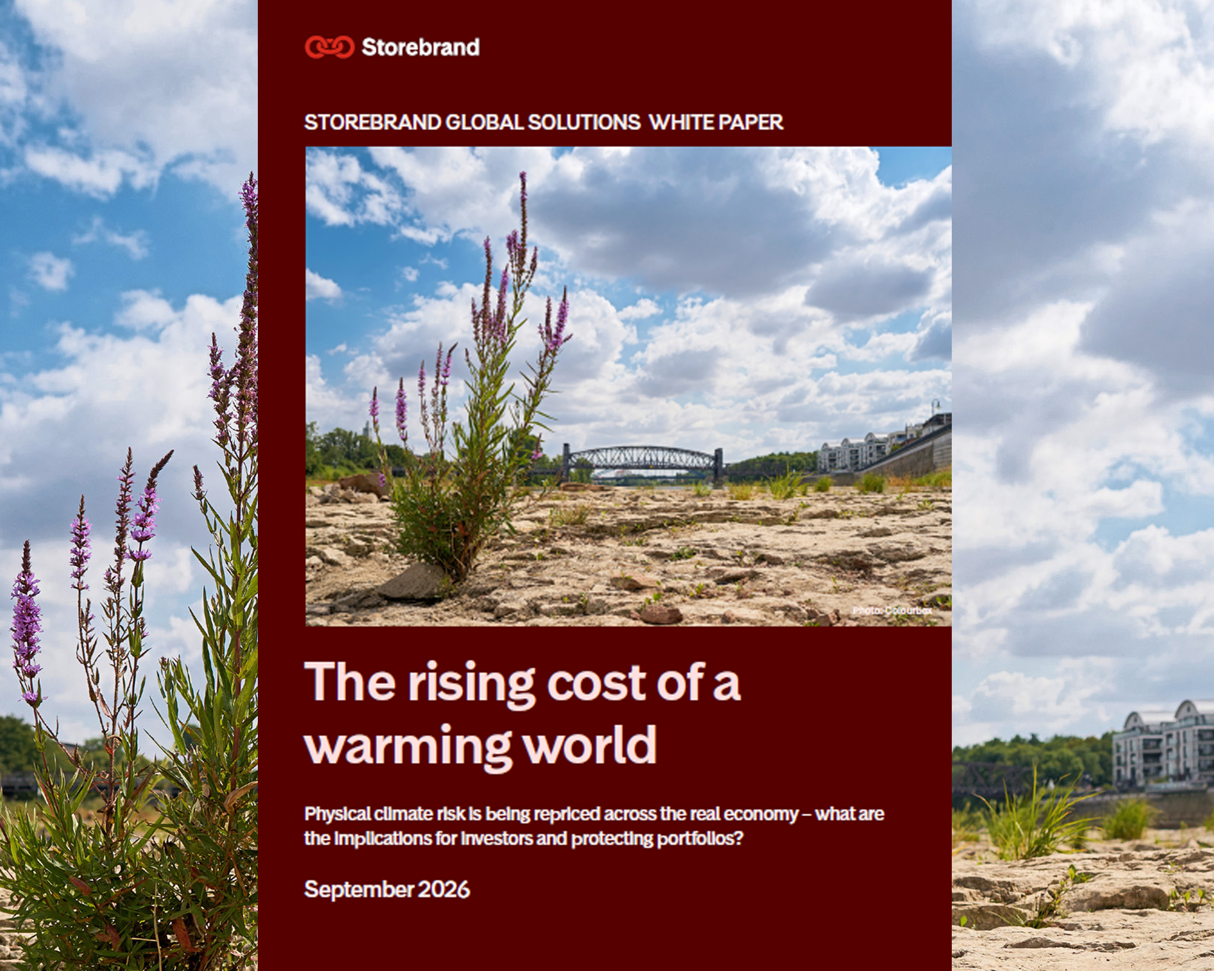 Bild av framisdan och instroduktion av Storebrand Global Solutions White paper