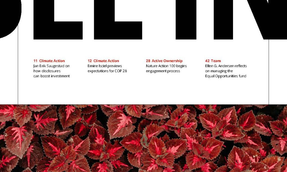 Text som listar artiklar om klimatåtgärder, aktivt ägande och teamarbete ovanför en bakgrund av röda och gröna blad