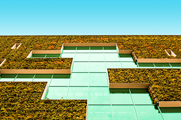 Byggnad med grön väggdesign och glasfasad mot klarblå himmel