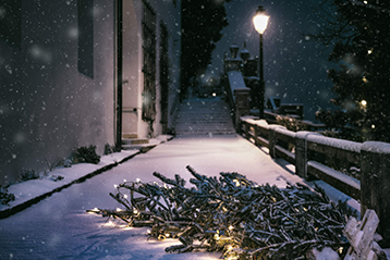 Snötäckt gata med nerfallen julgran och ljusdekorationer i nattbelysning